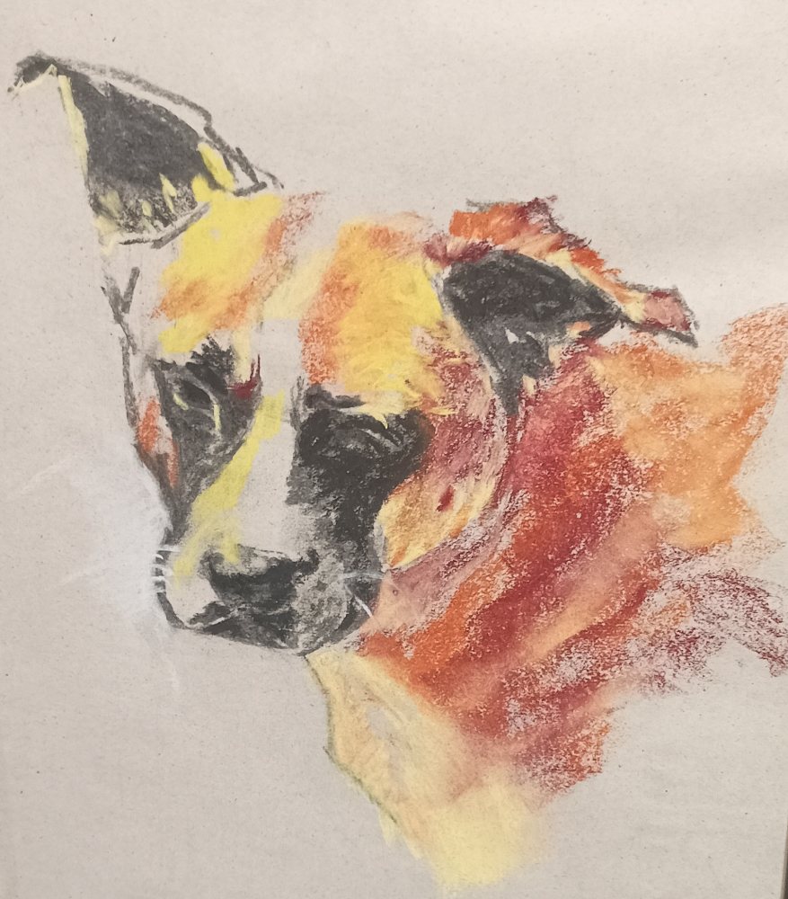 LizPet