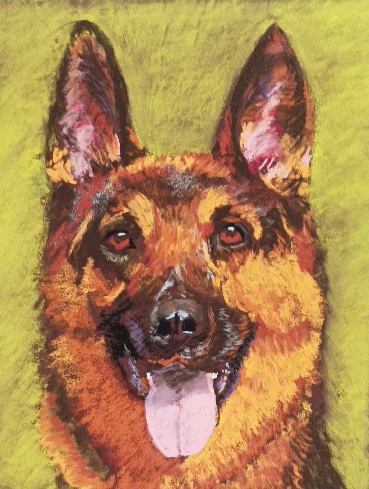 German Shepard